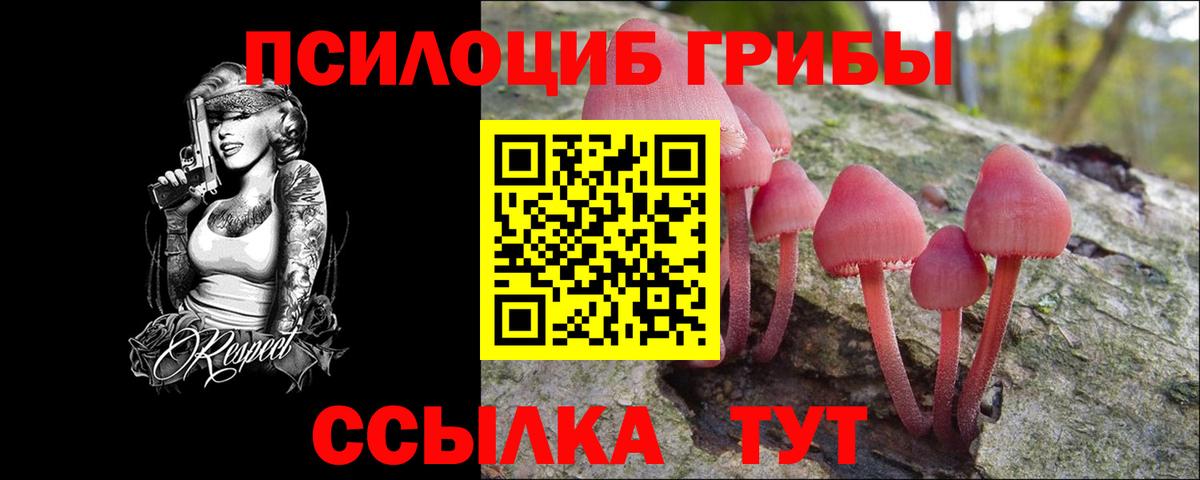 Псилоцибиновые грибы мухоморы  Вход с VPN  Псилоцибиновые грибы ЛСД  Домодедово 
