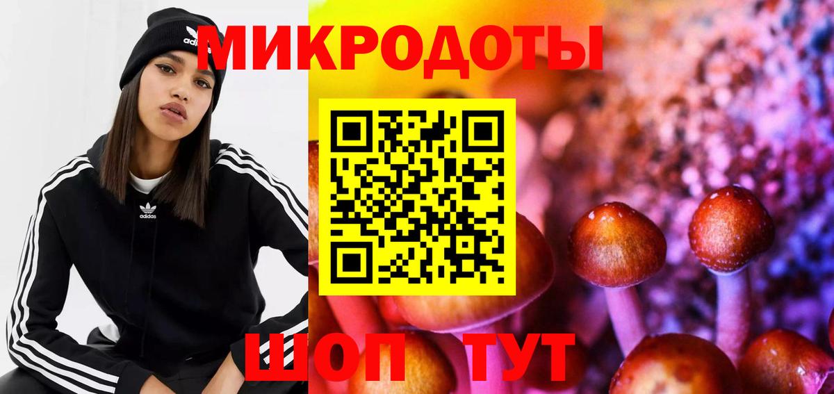 Галлюциногенные грибы Psilocybe Домодедово